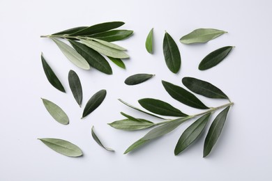 Olive twigs with fresh green leaves on white background, flat lay