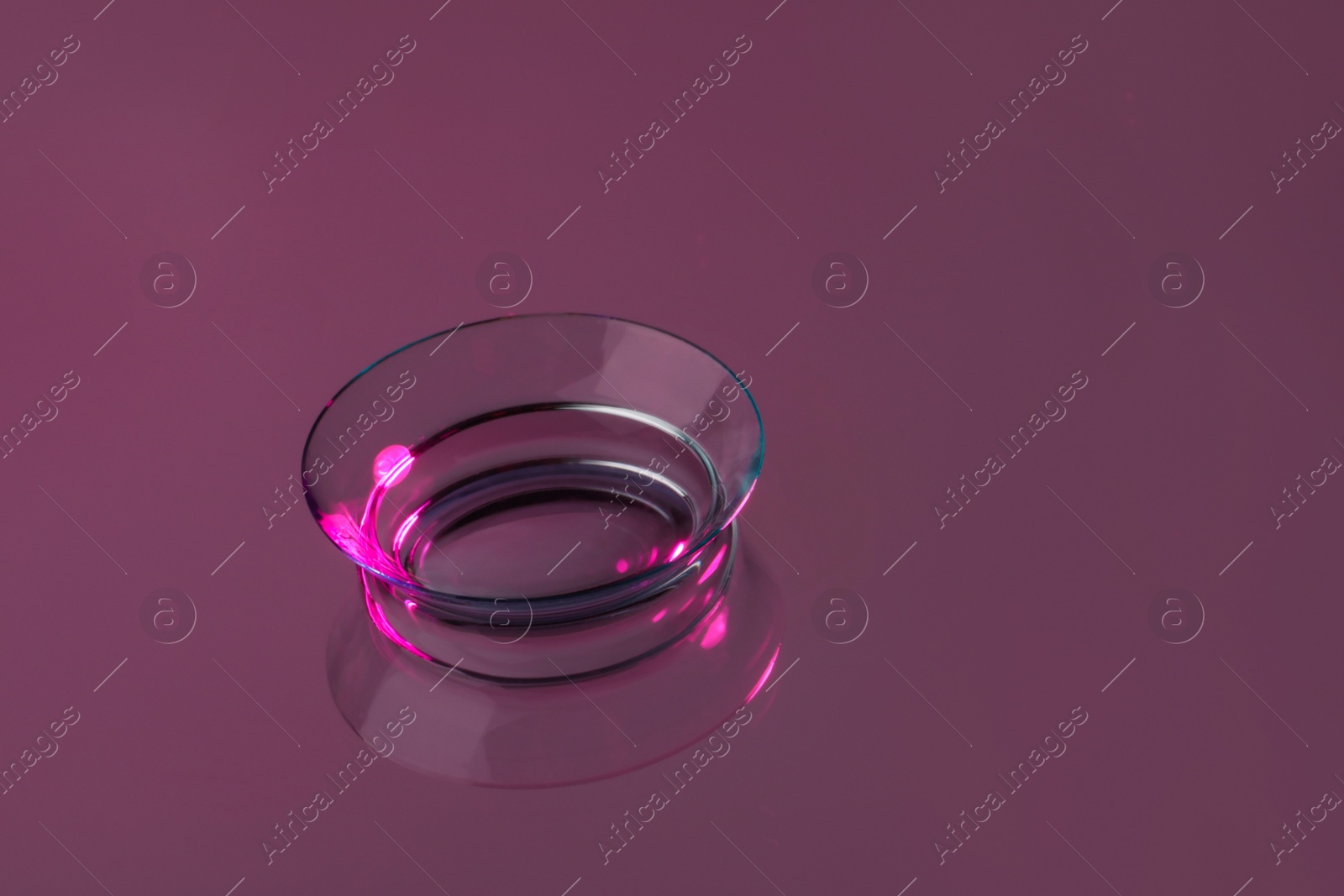 Photo of One contact lens on pink reflective surface. Space for text