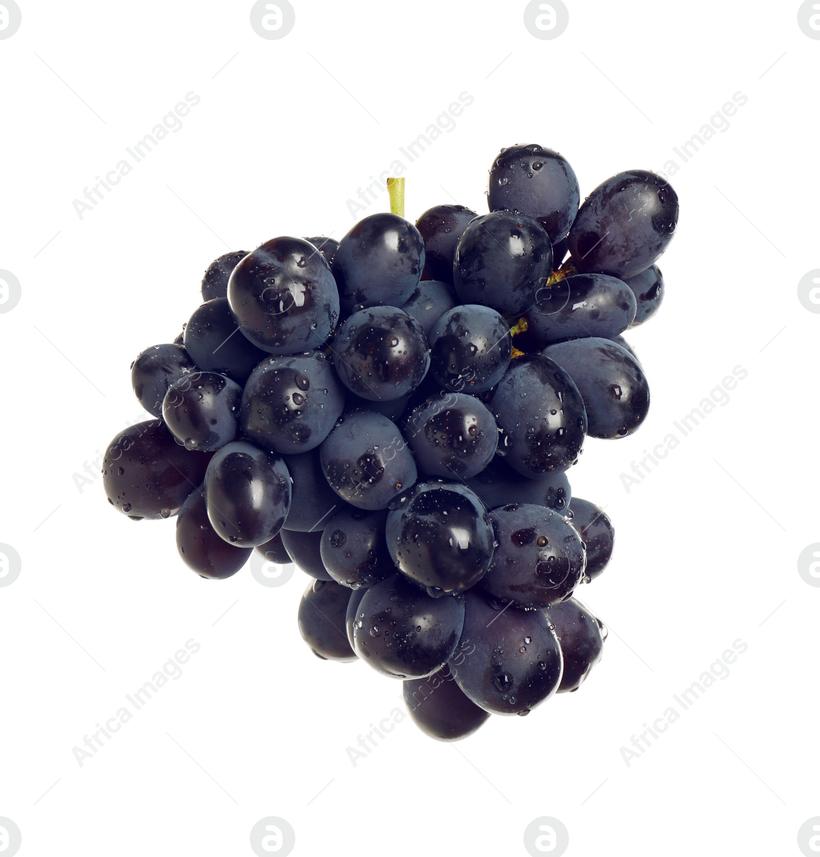 Photo of Bunch of fresh ripe juicy dark blue grapes isolated on white