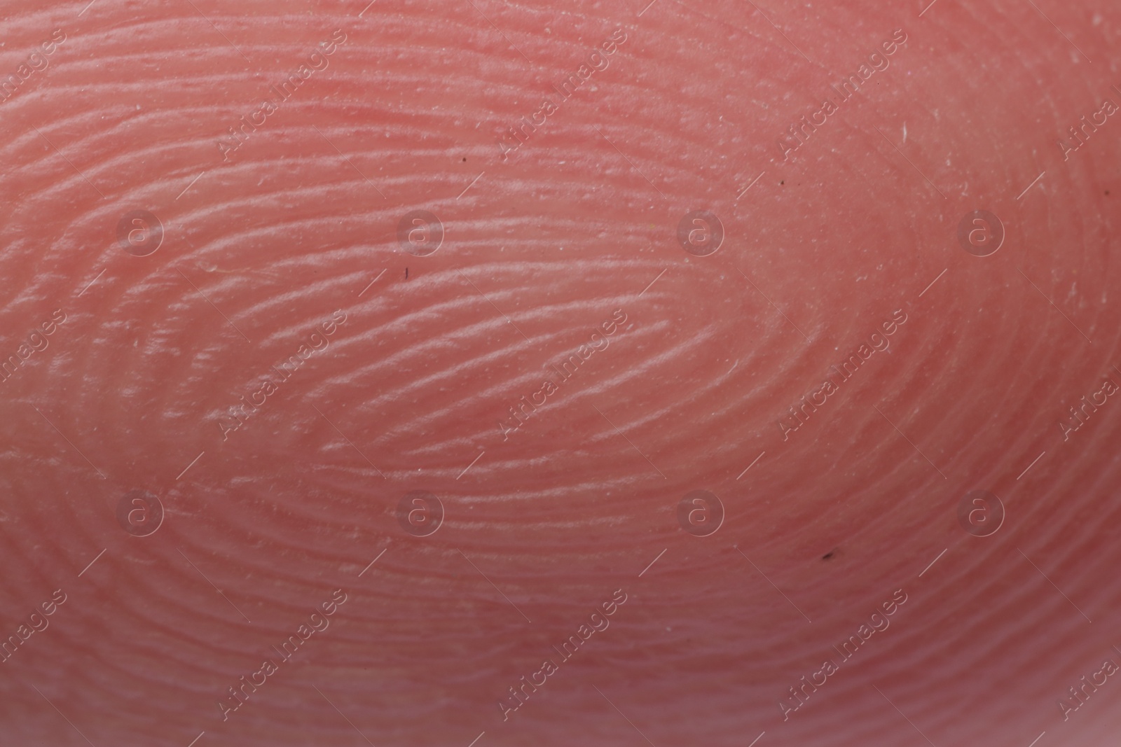 Photo of Friction ridges on finger as background, macro