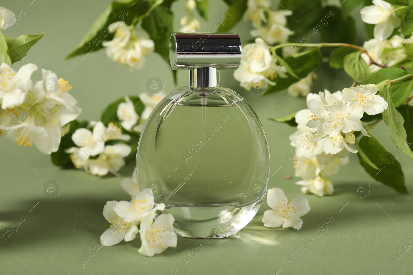 Photo of Aromatic perfume in bottle among beautiful jasmine flowers on pale green background