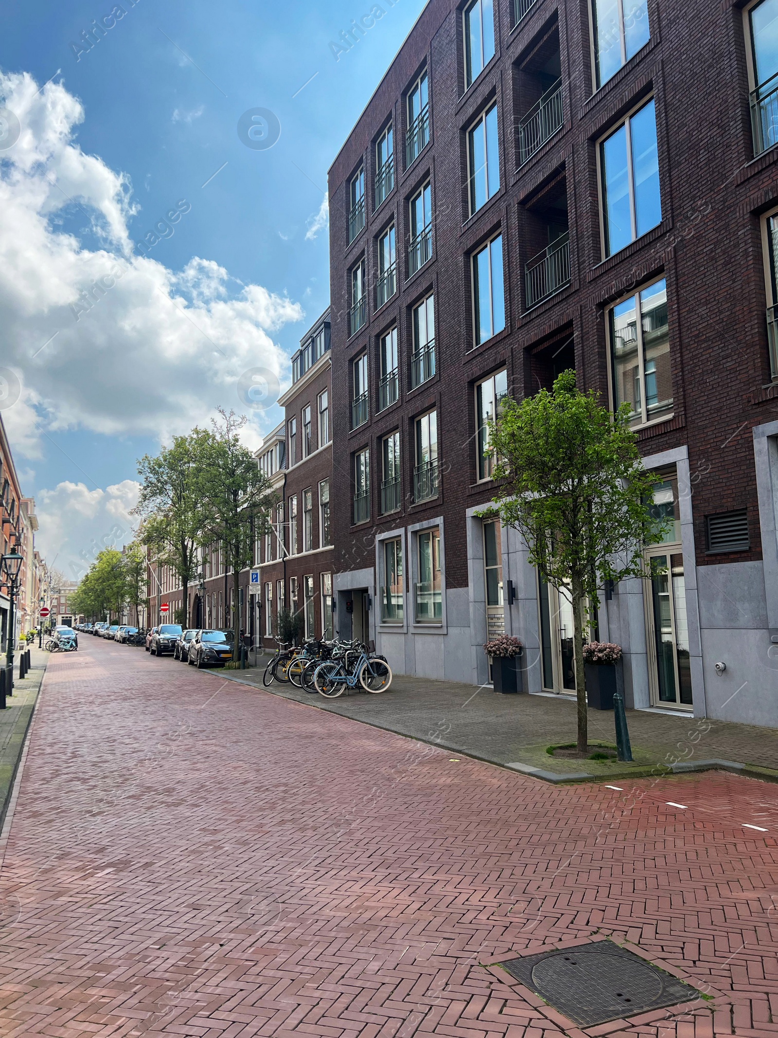 Photo of Beautiful buildings, trees, parked cars and bicycles on city street