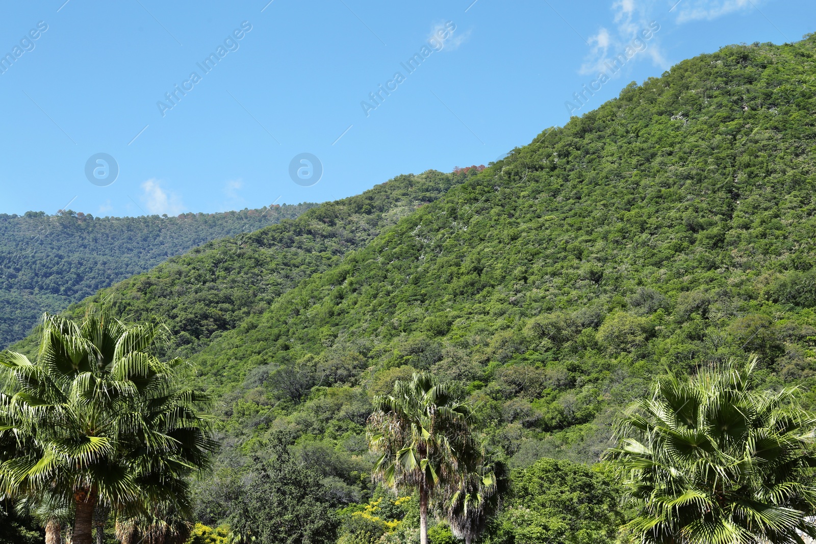 Photo of Picturesque view of beautiful mountains and blue sky