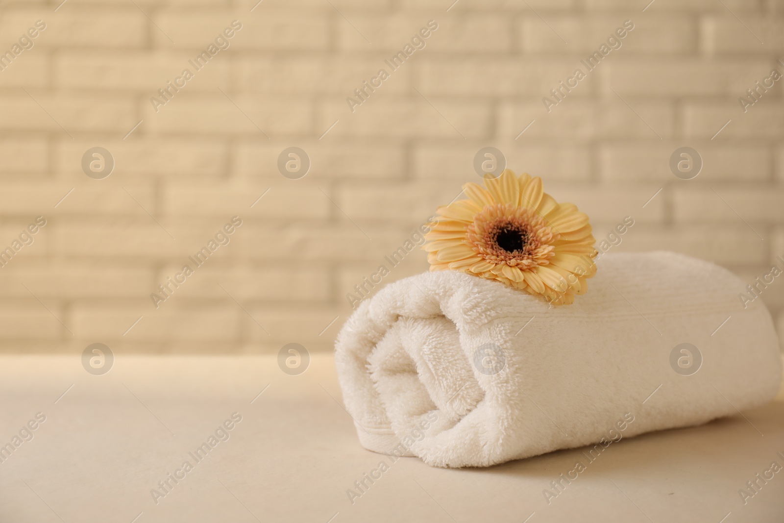 Photo of Rolled terry towel and flower on white table near brick wall indoors, closeup. Space for text