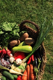 Photo of Different fresh ripe vegetables in wicker basket on green grass, top view