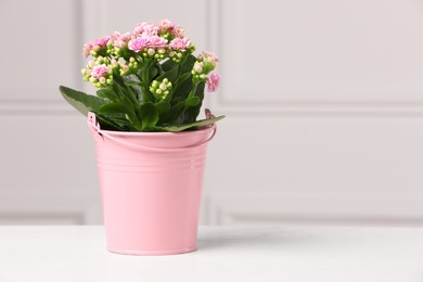Beautiful potted kalanchoe flower on table near white wall, space for text
