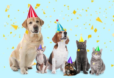 Image of Adorable pets with party hats on turquoise background 