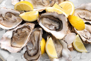 Photo of Fresh oysters with lemon and ice on plate, closeup