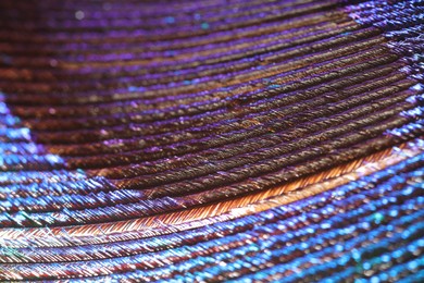 Photo of Texture of beautiful peacock feather as background, closeup
