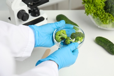 Photo of Scientist holding Petri dish with broccoli over table in laboratory, closeup. Poison detection