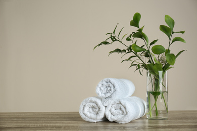 Clean rolled towels and vase with green plants on wooden table. Space for text