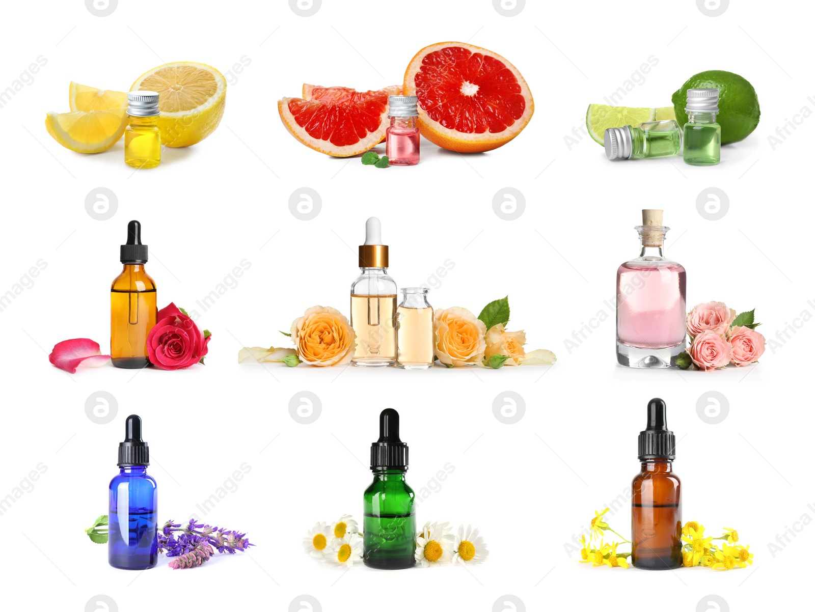 Image of Set with bottles of different essential oils, fresh citruses and flowers on white background