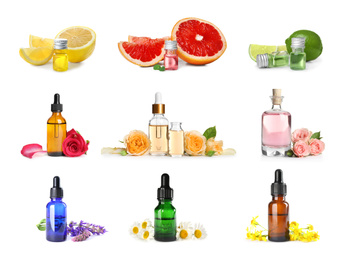 Image of Set with bottles of different essential oils, fresh citruses and flowers on white background