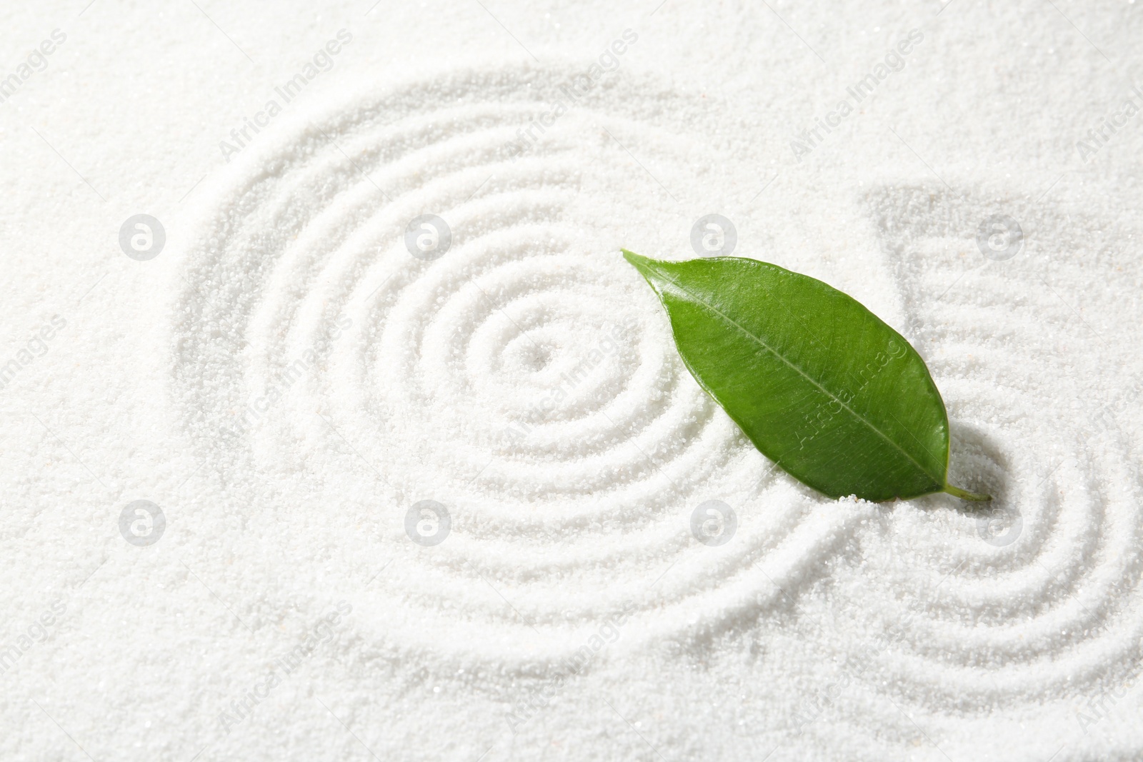 Photo of Zen rock garden. Circle patterns on white sand and green leaf, closeup