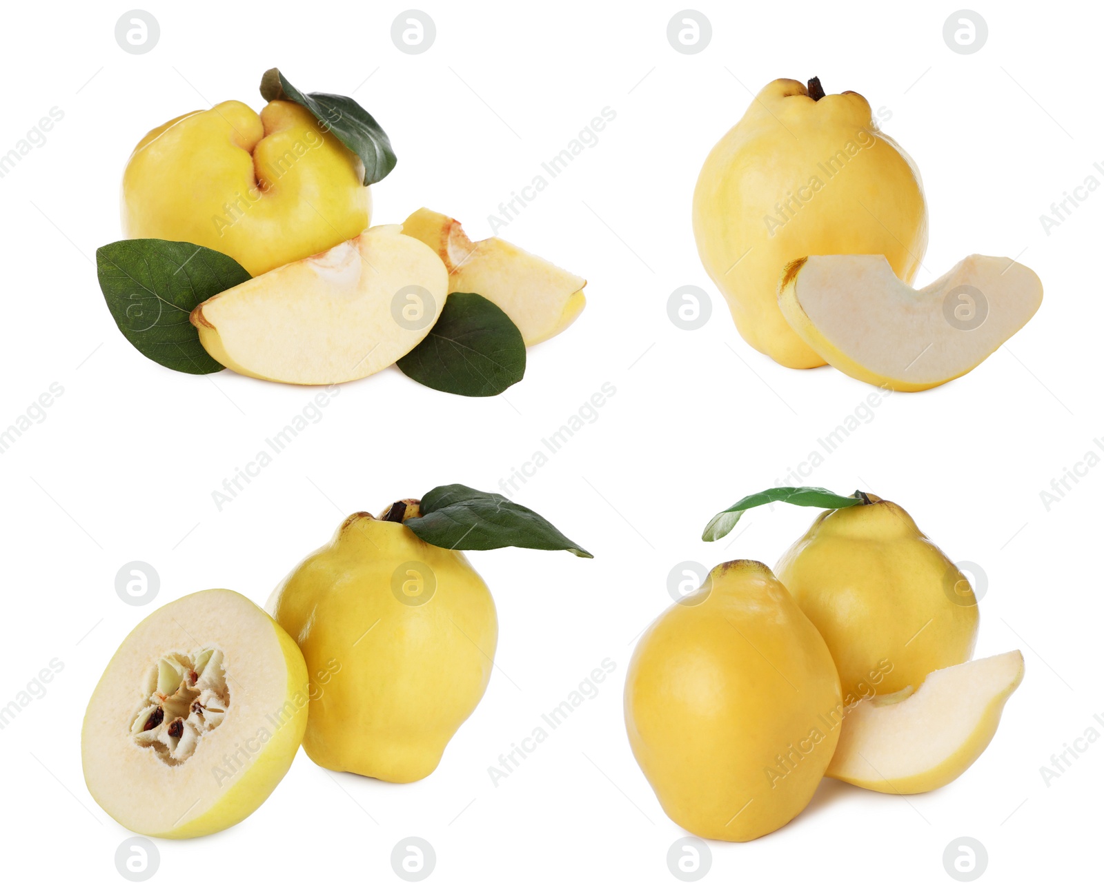 Image of Set of delicious ripe quinces on white background