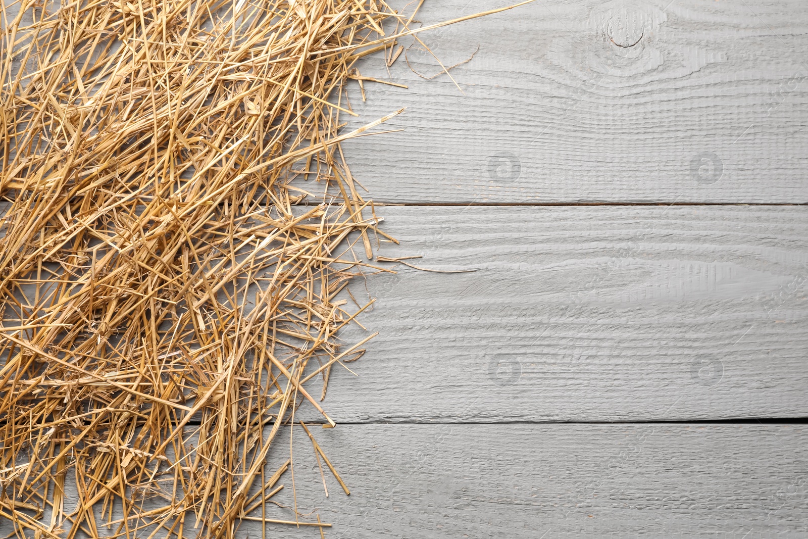 Photo of Pile of dried straw on grey wooden table, top view. Space for text