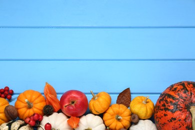 Photo of Thanksgiving day. Flat lay composition with pumpkins on light blue wooden table, space for text