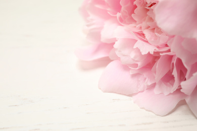 Photo of Beautiful blooming pink peony on white wooden table, closeup. Space for text