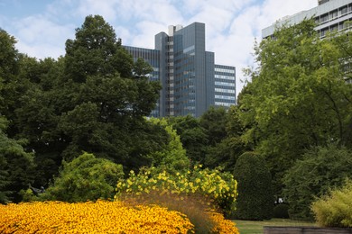 Photo of Beautiful view of buildings, green trees and yellow coneflowers in city