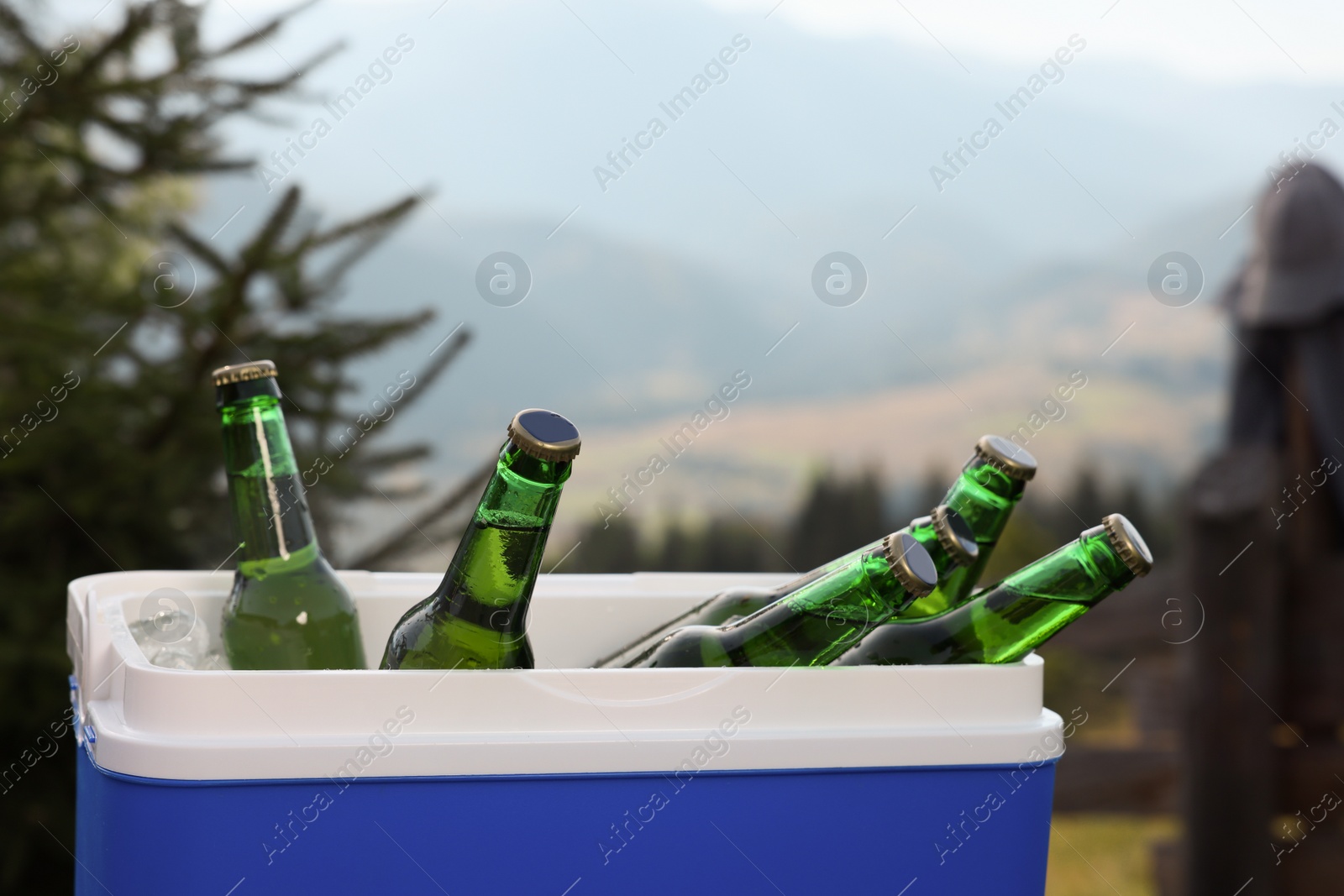 Photo of Cool box with bottles of beer in mountains