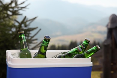 Cool box with bottles of beer in mountains