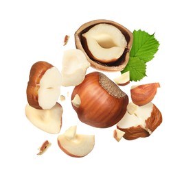 Image of Pieces of tasty hazelnuts falling on white background