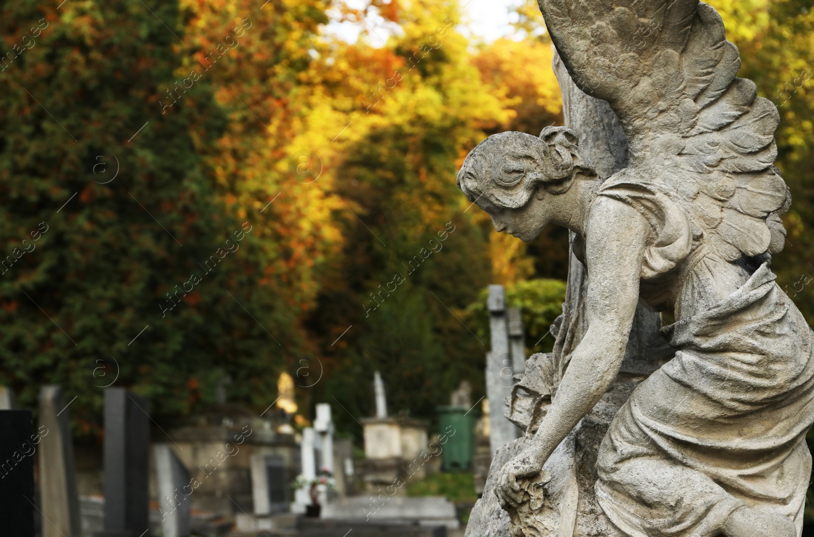 Photo of Beautiful statue of angel at cemetery, space for text. Funeral ceremony