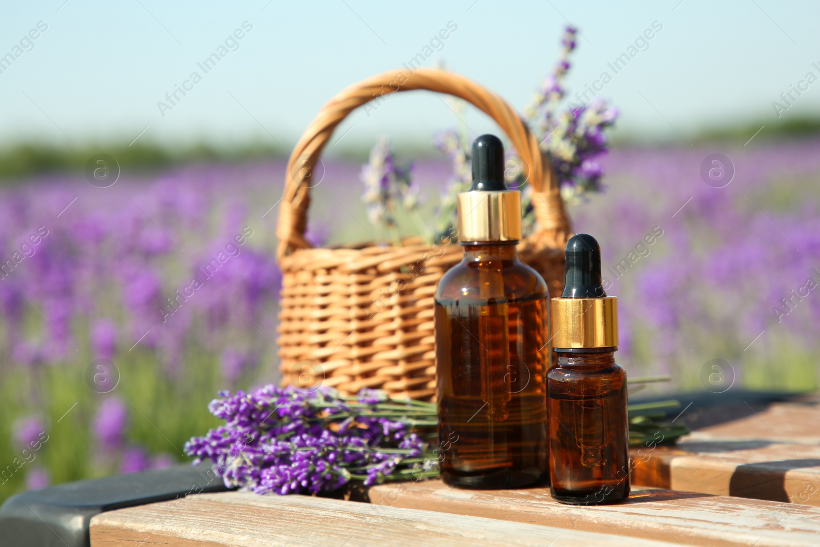 Photo of Bottles of essential oil and wicker bag with lavender flowers on wooden table in field outdoors, space for text