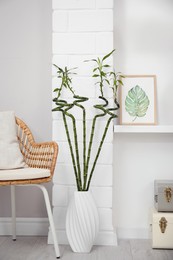 Vase with green bamboo stems on floor in room. Interior design