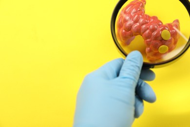 Photo of Endocrinologist looking at model of thyroid gland through magnifying glass on yellow background, closeup. Space for text