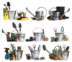 Set of different gardening tools on white background