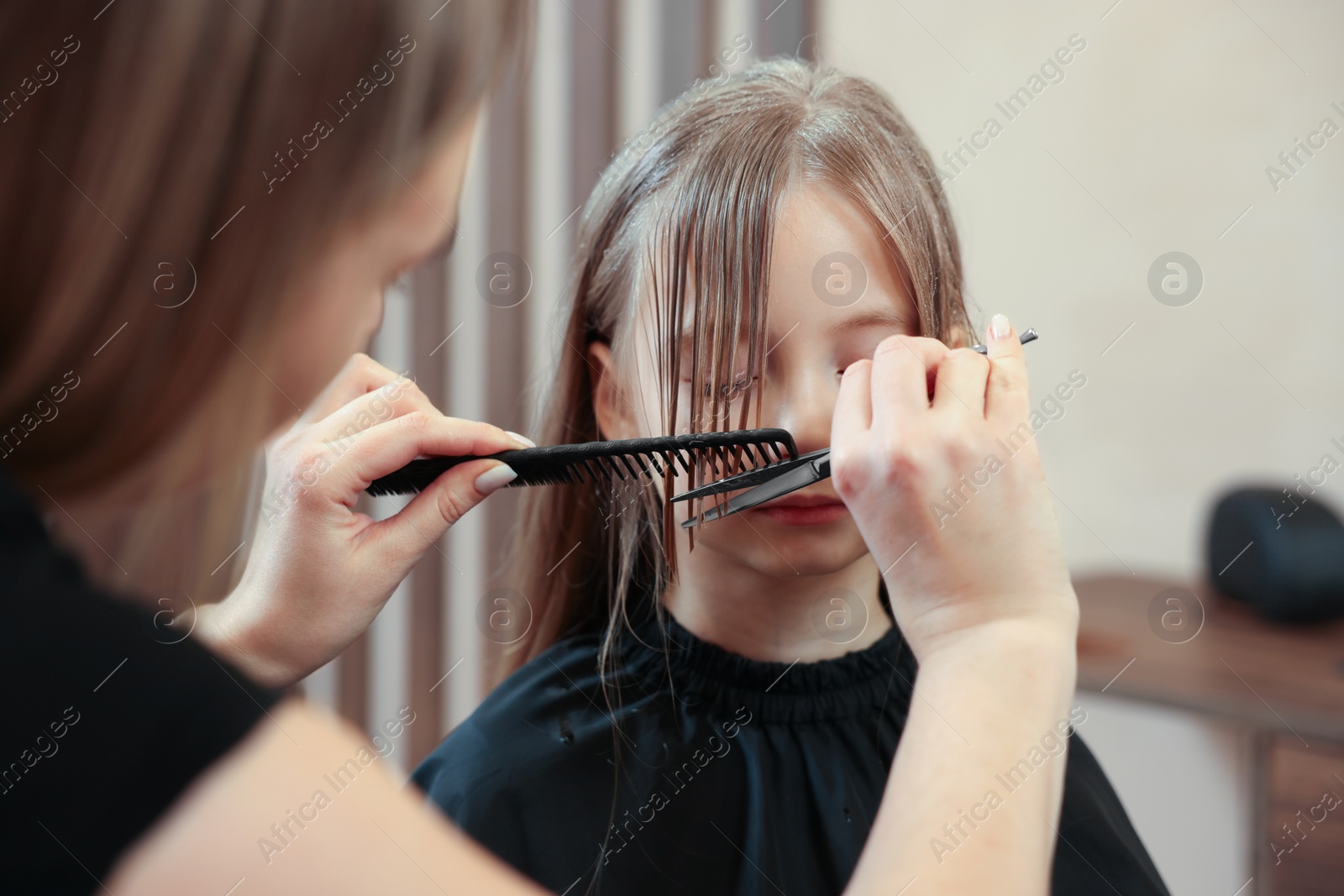 Photo of Professional hairdresser cutting girl's hair in beauty salon, closeup