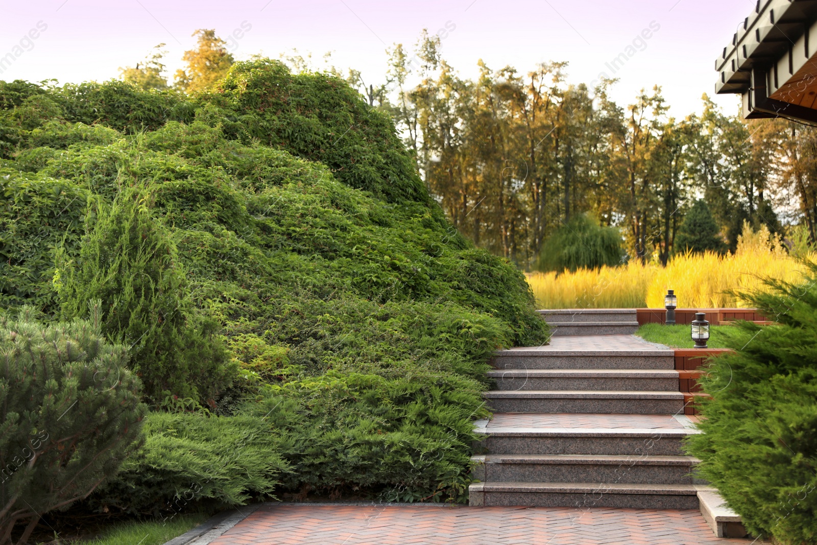 Photo of Picturesque landscape with brick path on sunny day. Gardening idea