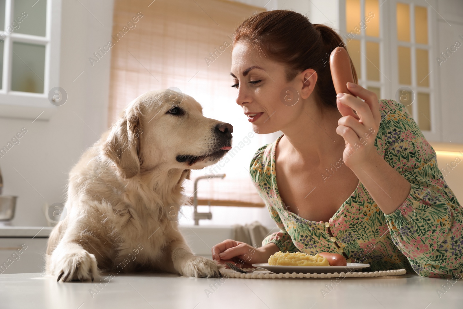 Photo of Owner holding sausage in front of cute hungry dog indoors