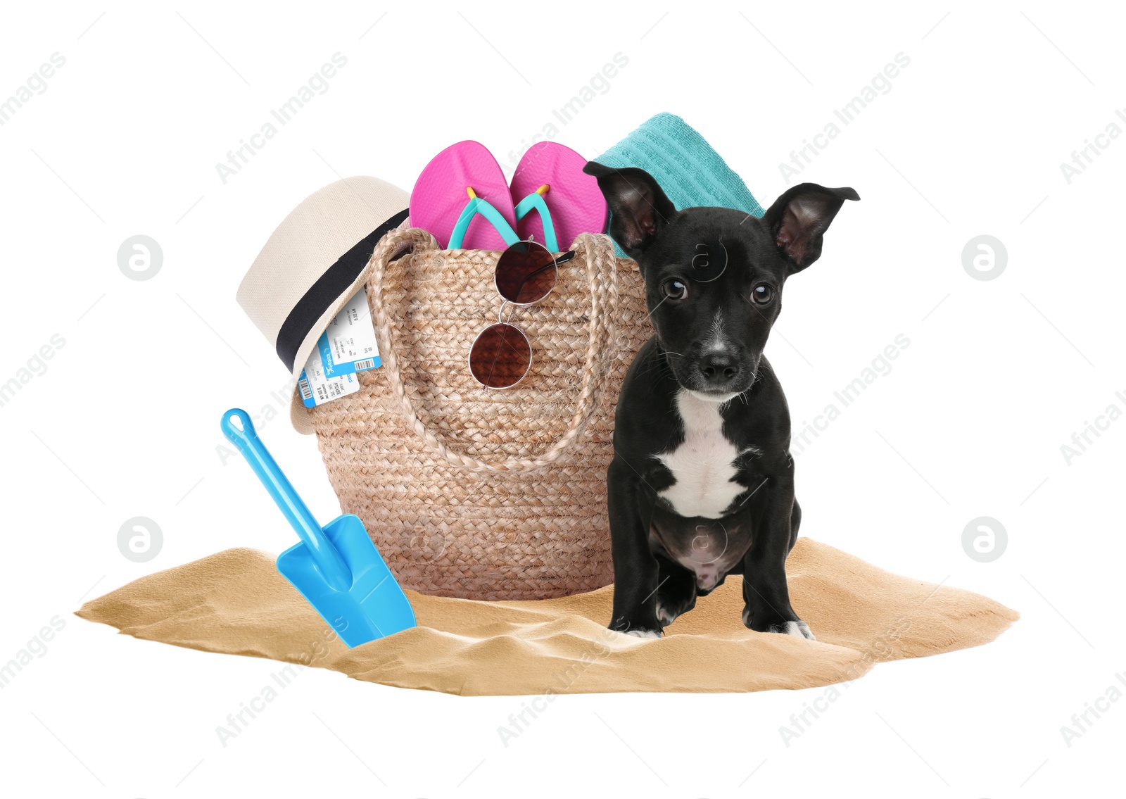 Image of Cute puppy and summer vacation items on sand against white background. Travelling with pet