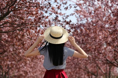 Photo of Young woman with straw hat near beautiful blossoming trees outdoors, back view. Stylish spring look