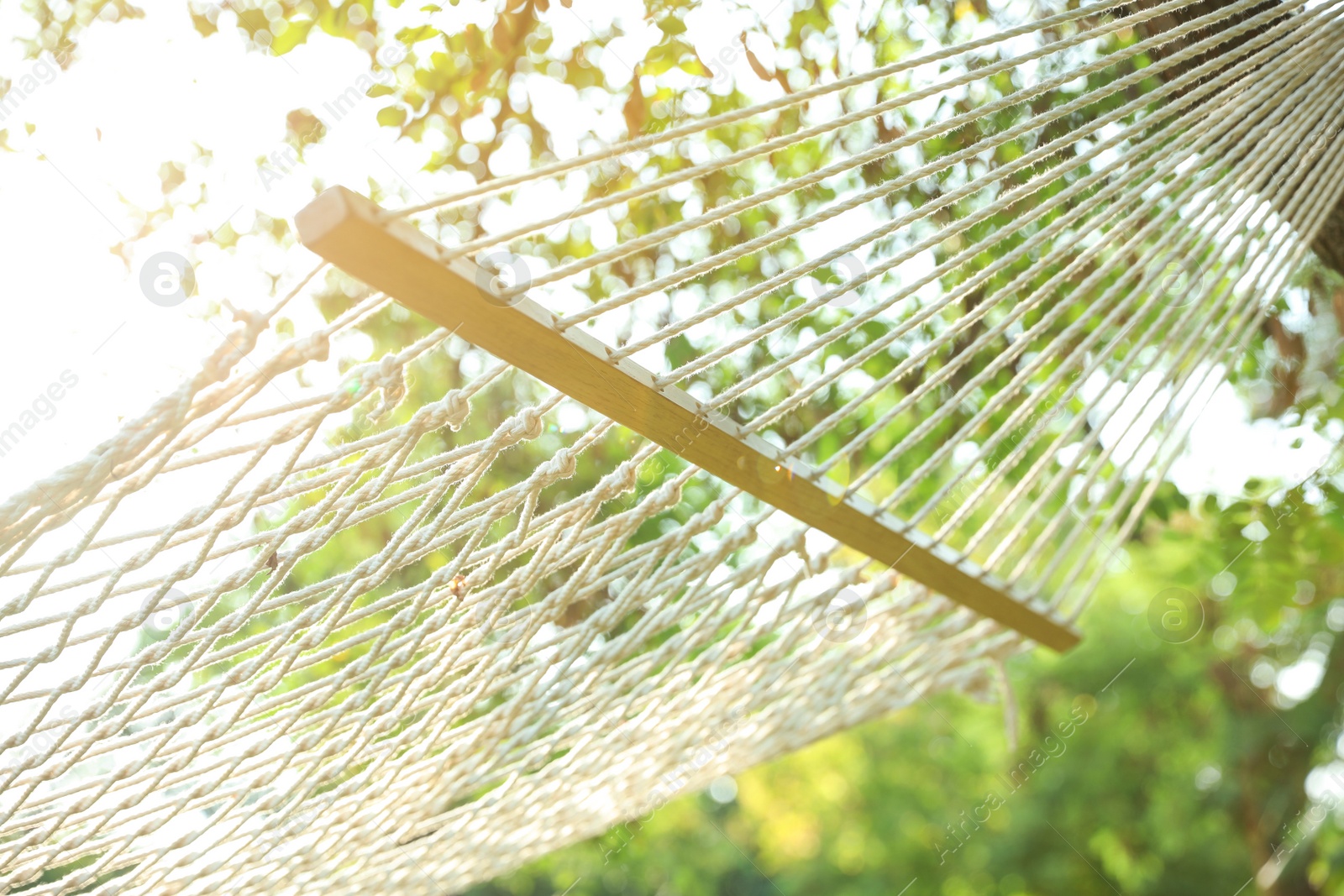 Photo of Comfortable net hammock hanging in green garden, closeup