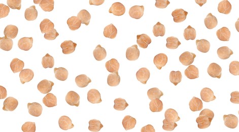 Many raw chickpeas falling on white background 