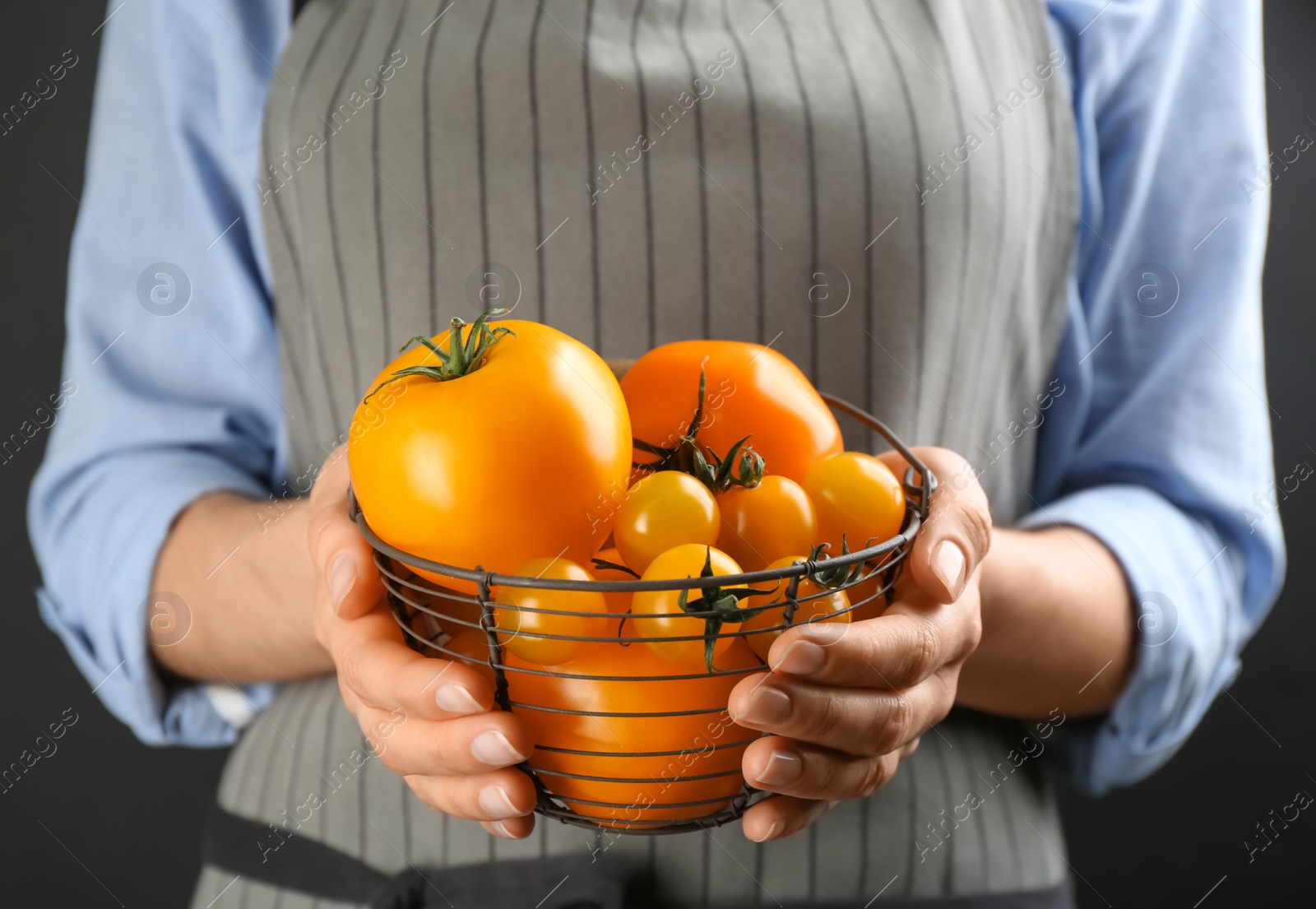 Photo of Woman holding metal basket of yellow tomatoes on dark background, closeup