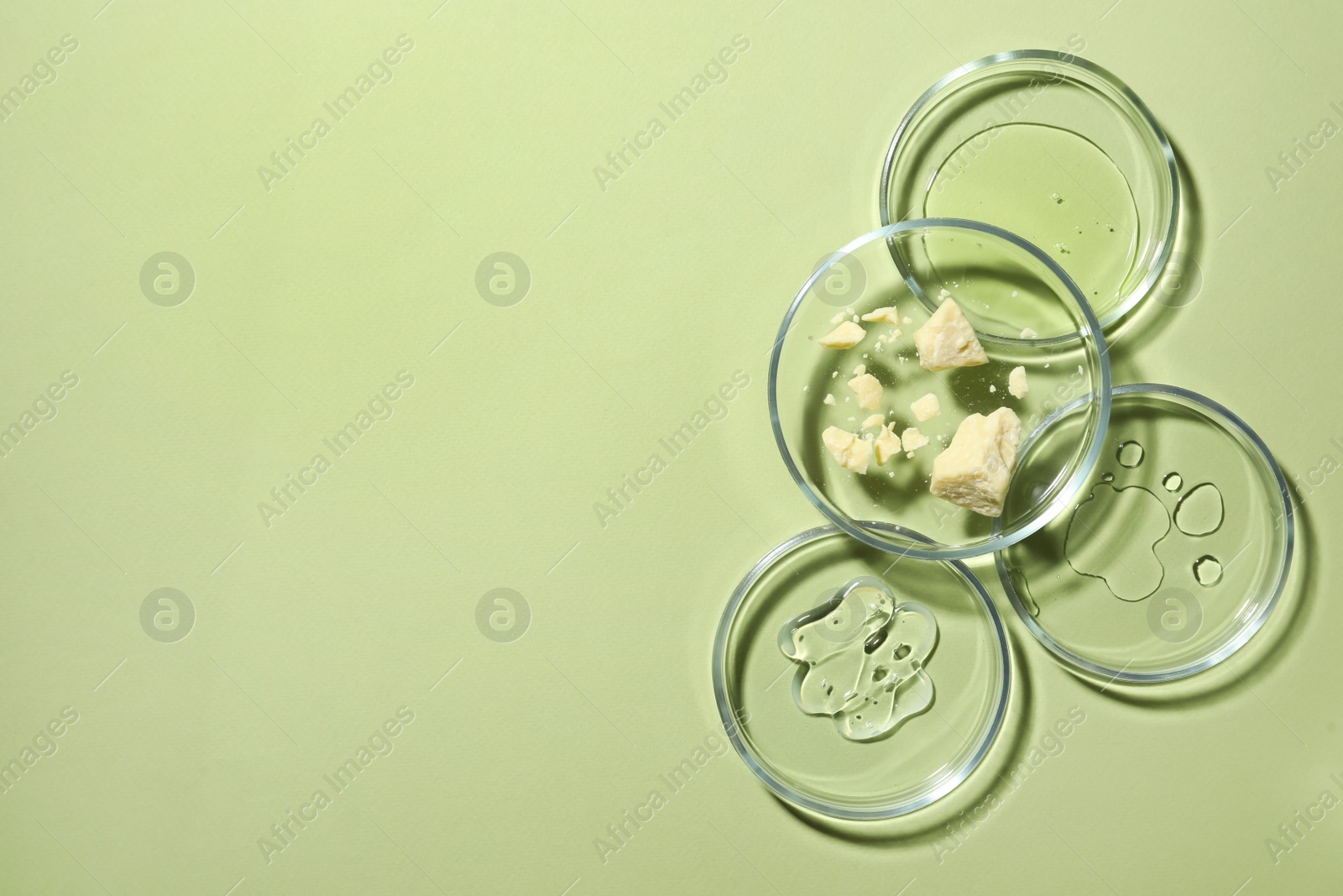 Photo of Flat lay composition with Petri dishes on light green background. Space for text