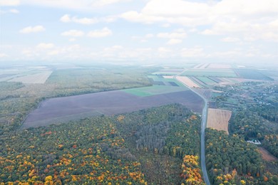Image of Aerial view of beautiful autumn forest and agricultural fields