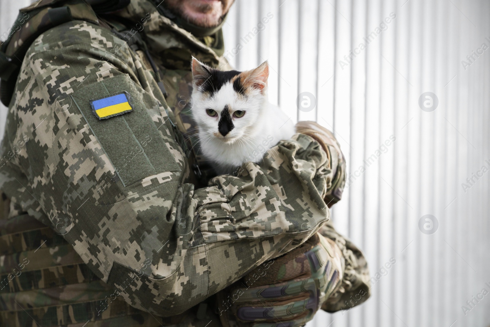 Photo of Ukrainian soldier with stray cat against light background, closeup. Space for text