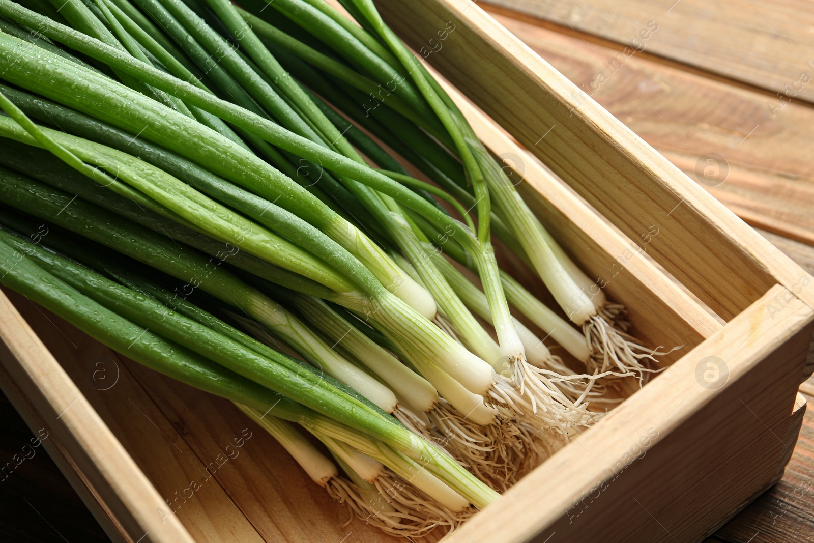 Photo of Fresh green spring onions in crate on wooden table, closeup