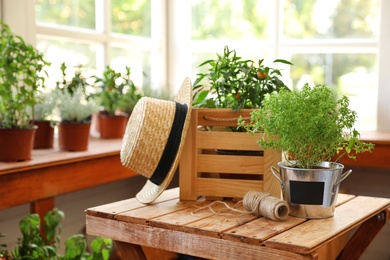 Photo of Seedlings, wooden crate, straw hat and rope on wooden table indoors. Gardening tools