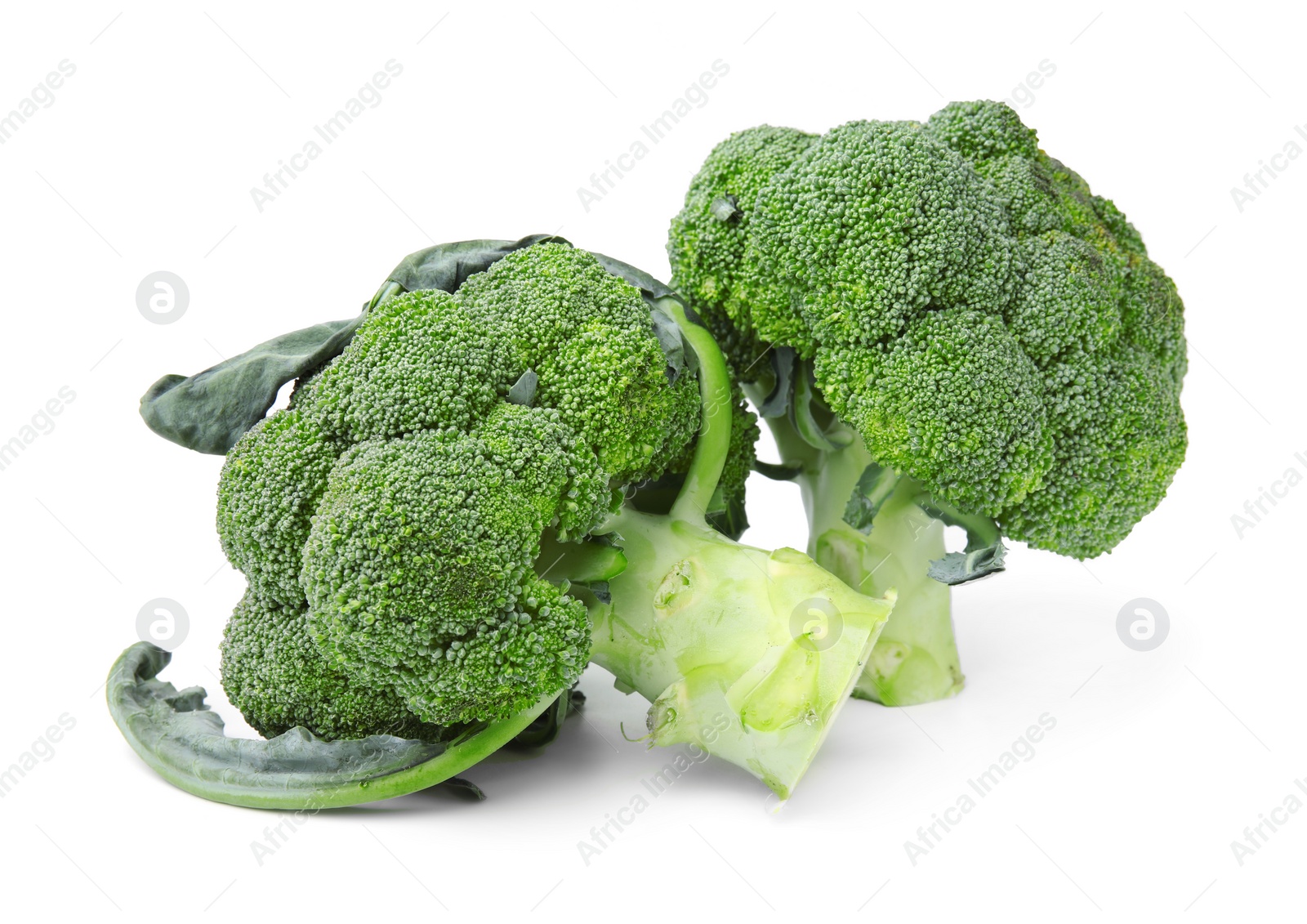 Photo of Fresh raw green broccoli isolated on white