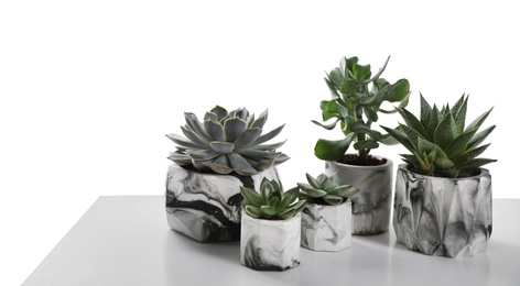 Photo of Beautiful succulents on white table, space for text. Interior decoration