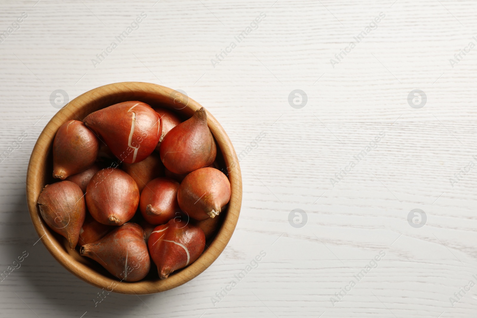 Photo of Bowl with tulip bulbs on white wooden table, top view. Space for text