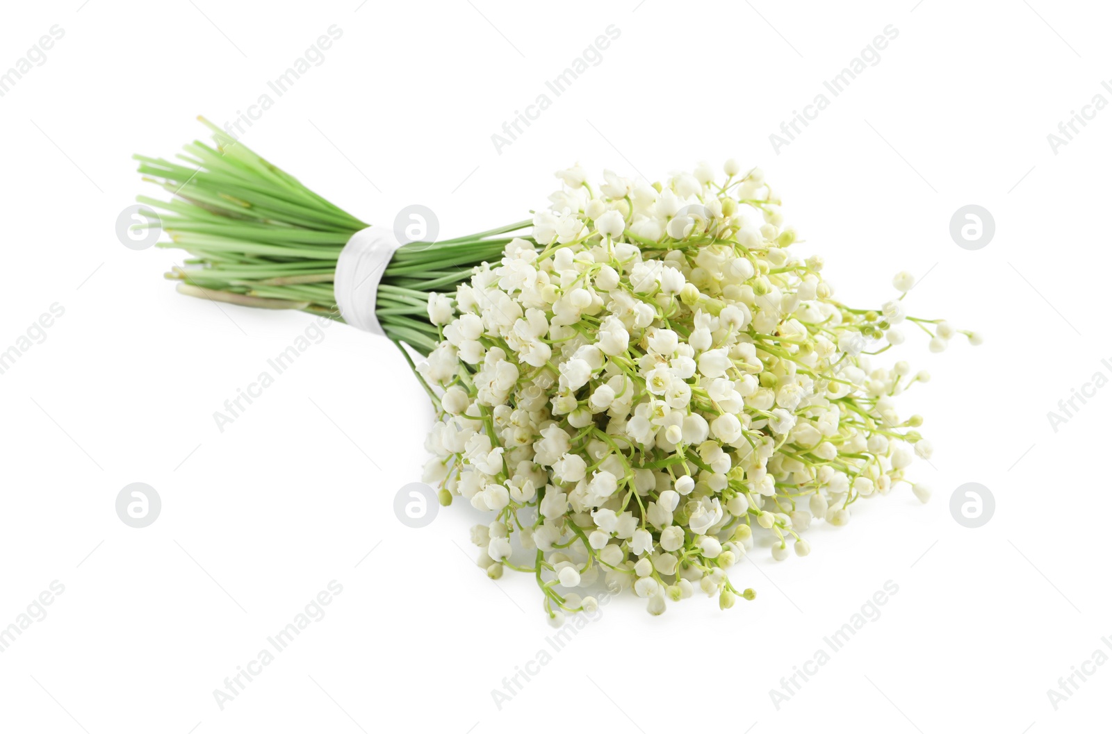 Photo of Beautiful lily of the valley bouquet on white background