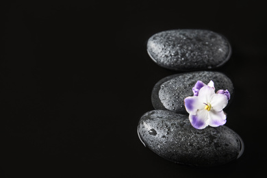 Stones and flowers in water on black background, space for text. Zen lifestyle