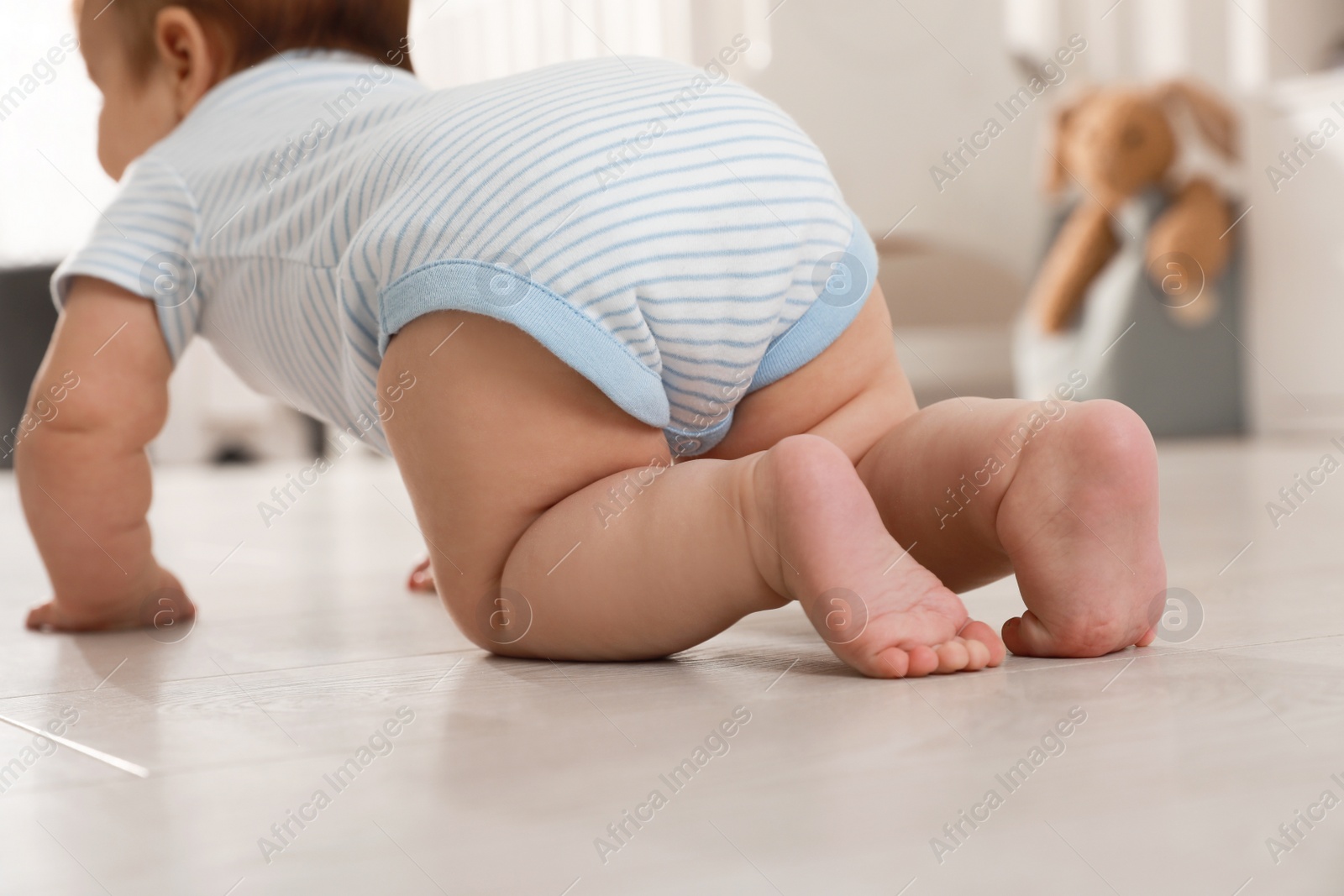 Photo of Cute baby crawling on floor at home, back view